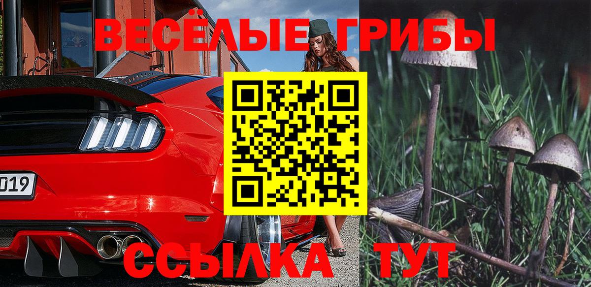 Галлюциногенные грибы мицелий  Галлюциногенные грибы мицелий  Тольятти  Вход с VPN 